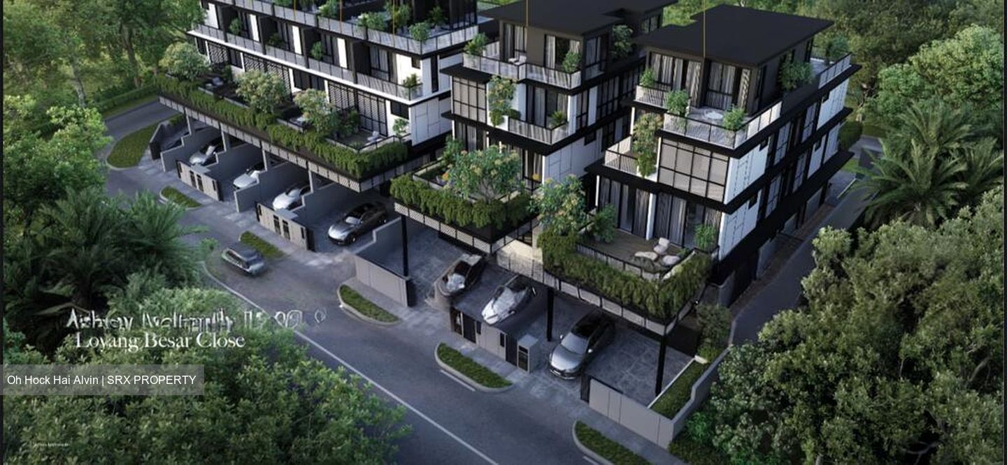 Jalan Loyang Besar (D17), Terrace #529379471